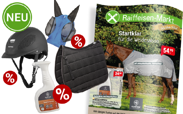 Reit prospekt Produkte